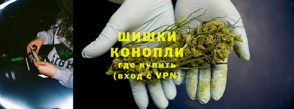 молекула духа Дмитров