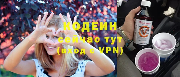 молекула духа Дмитров