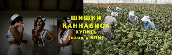 кокс Дмитриев