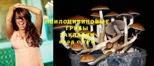 кокс Дмитриев