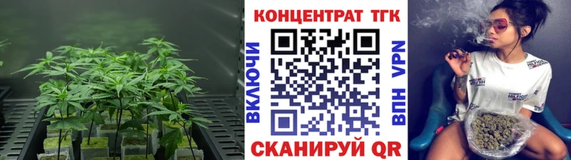 ТГК концентрат  Рубцовск 