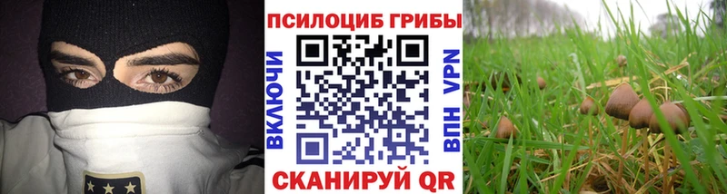 маркетплейс наркотические препараты  Рубцовск  Галлюциногенные грибы Psilocybe  цены наркотик 